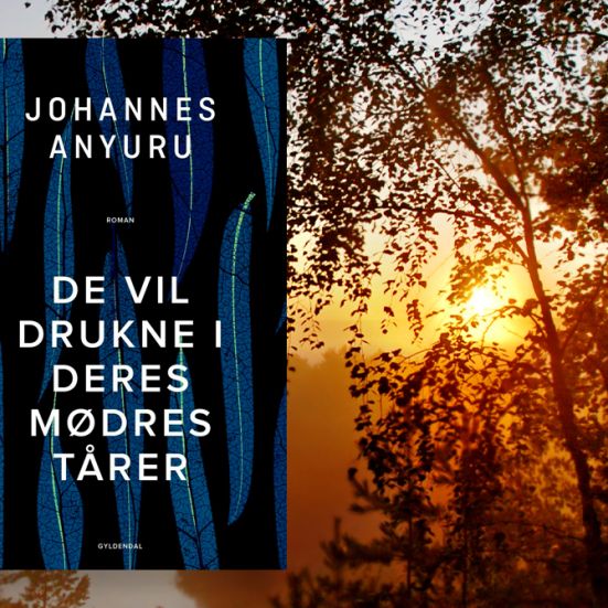 Romanen "De vil drukne i deres mødres tårer" og en solnedgang i skoven