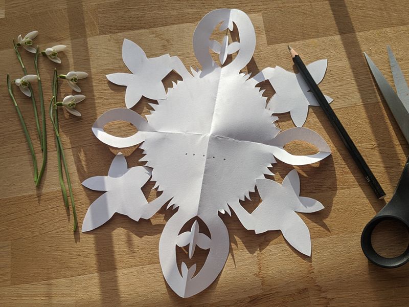 Vintergækker, gækkebrev og saks på et bord