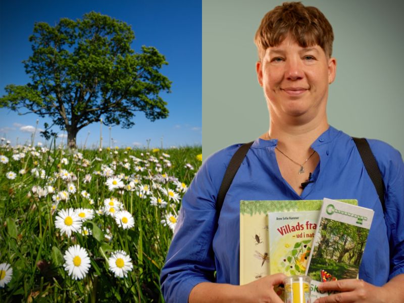 Bibliotekets litteraturformidler Louise holder tre bøger og har vores grejrygsæk på ryggen