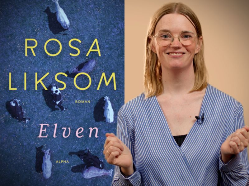 Bibliotekets litteraturformidler Mette foran bogen "Elven"